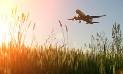 © Uladzimir Zuyeu/iStock