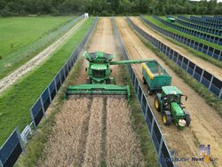 Wheat harvest at the Next2Sun solar park Donaueschingen-Aasen, Germany<br />
© Knoblauch GmbH
