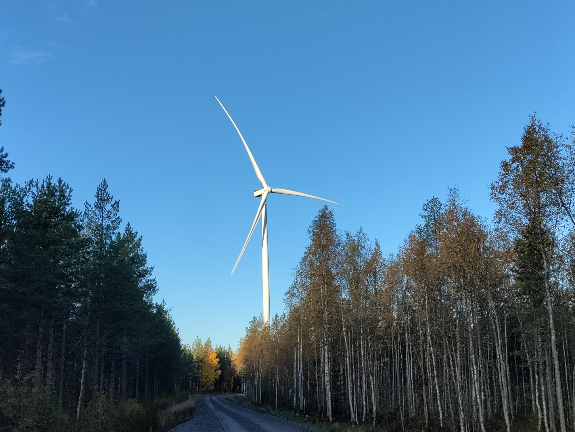 Nordex Group erhält 98-MW-Auftrag aus Schweden