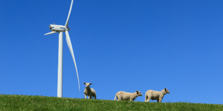 enervis stellt PPA-Atlas für Wind-Weiterbetrieb auf der HUSUM Wind vor