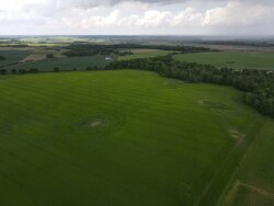 Teilplanungsfläche Solarprojekt Mecklenburg-Vorpommern<br />
© Milvio Energy GmbH