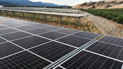 Solar panels: UKA Italia has three solar projects in development in southern Italy.<br />
© Thomas Coker - Unsplash.com