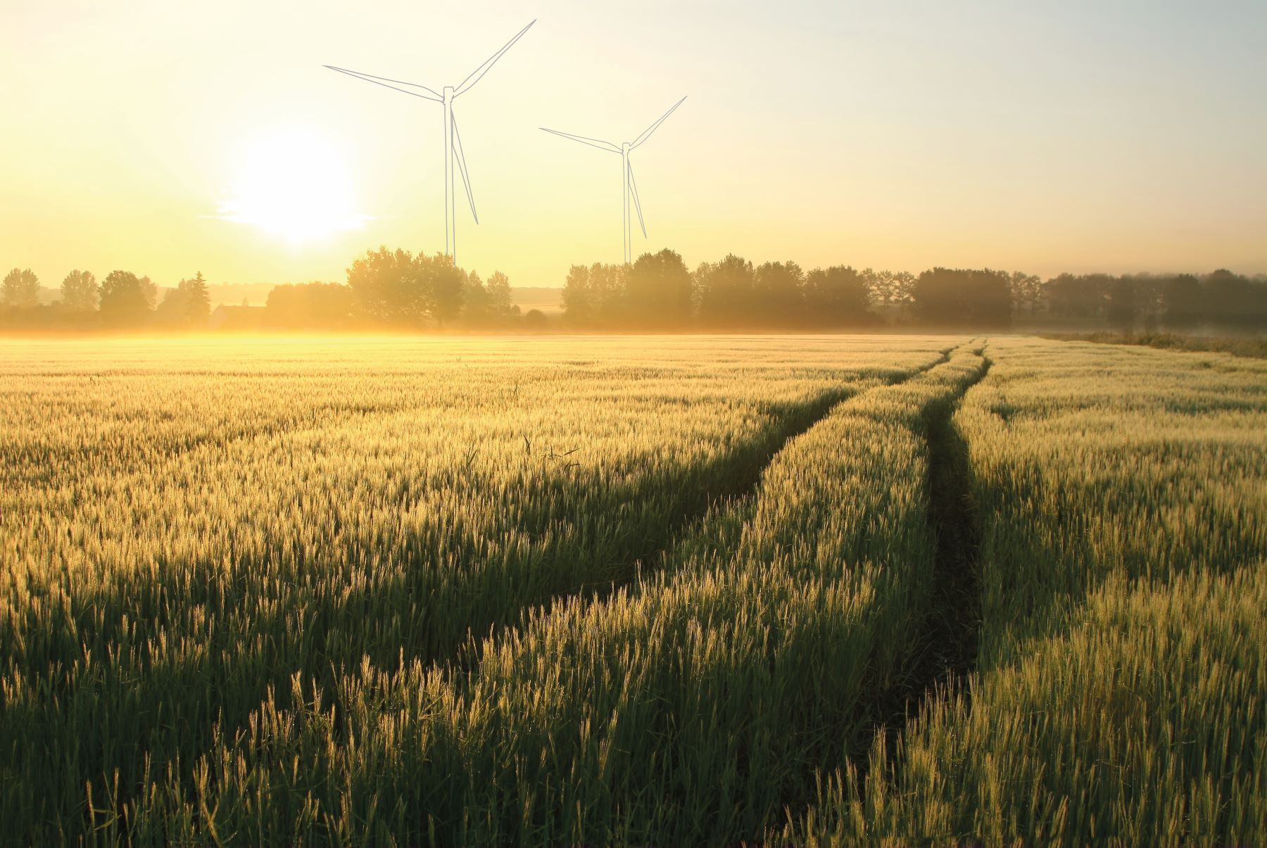 Jetzt auch in Schleswig-Holstein: VSB beginnt 2024 mit Bau des Windparks Flintbek 
