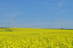 Mit dem Bau des Windparks Racibórz unterstützt VSB die grüne Energierevolution in Europa: Der Windpark mit einer installierten Leistung von 41,6 MW wird nach Fertigstellung jährlich rund 40.000 Haushalte mit grünem Strom versorgen. (Symbolbild)<br />
© VSB Gruppe