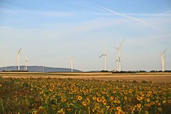 Windenergieanlagen in Ober-Flörsheim/Rheinland-Pfalz<br />
© Wi IPP