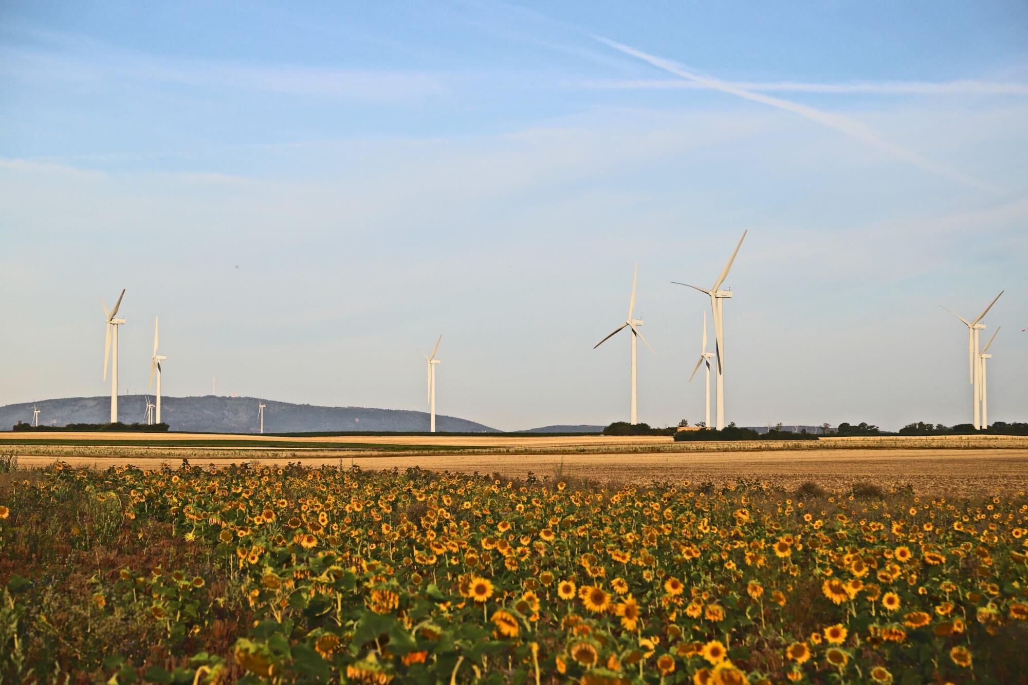 WIWIN: Mehr Finanzierungen von Erneuerbare-Energien-Projekten