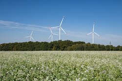 Windpark Südstedt<br />
© wpd