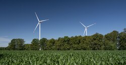 wpd Windpark Elsdorf III mit 2 Nordex N-149<br />
© wpd GmbH